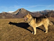 Invernale-primaverile sui dirimpettai Monti Ocone e Tesoro dalla Forcella Alta al Pertus il 31 dicembre 2021- FOTOGALLERY